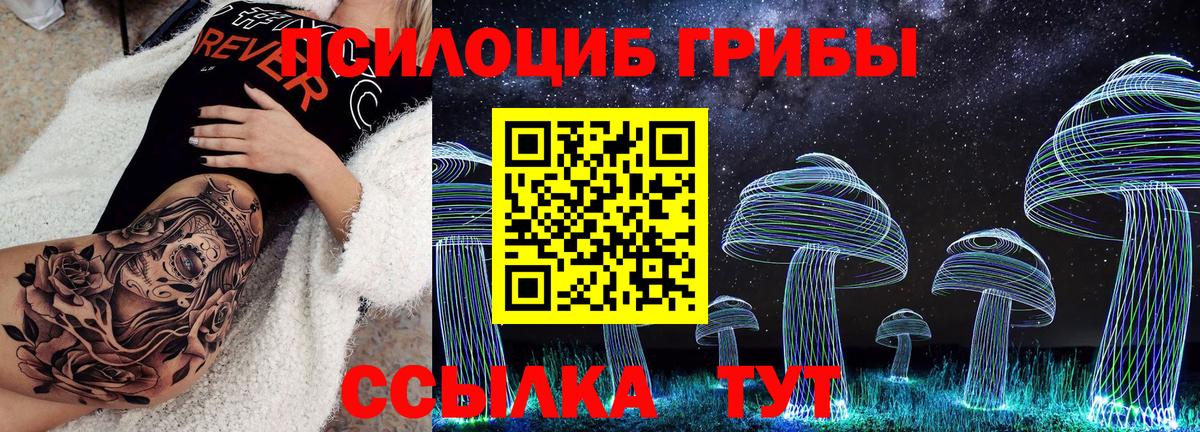 Чусовой  Галлюциногенные грибы GOLDEN TEACHER  Вход с VPN 
