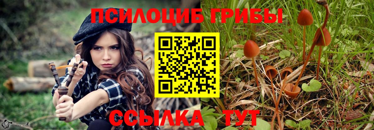 Псилоцибиновые грибы MAGIC MUSHROOMS Чусовой