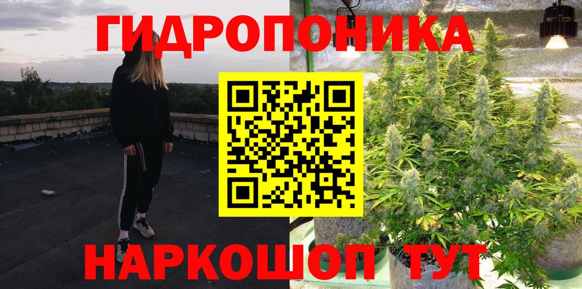 Шишки марихуана планчик Чусовой